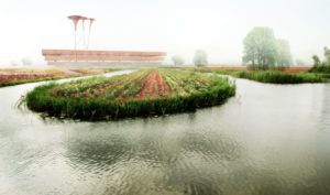 West 8, Guanghzou masterplan, 2013: polders.