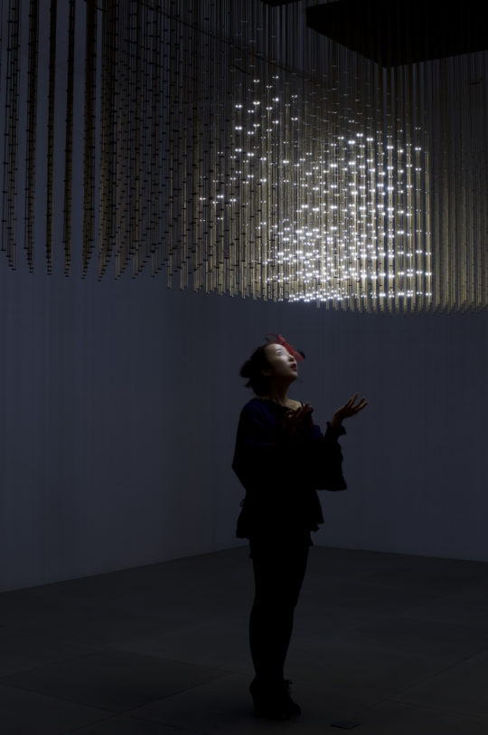 SWARM Light 2010 © James Harris