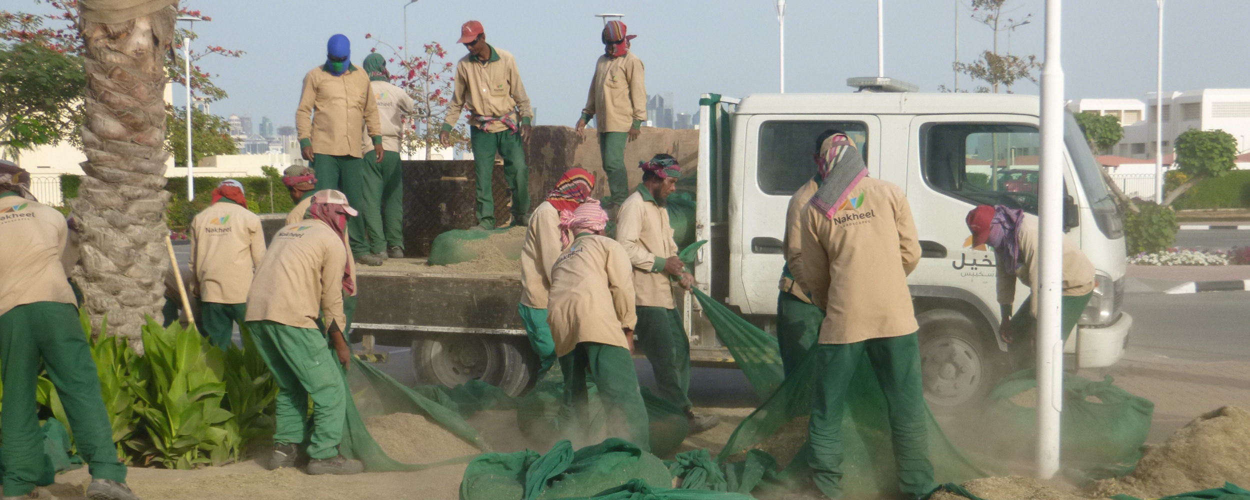 Doha landscaping crew collecting and taking grass clippings to be landfilled, protecting their lungs from the particulates with scarves. Photo © Nance Klehm.